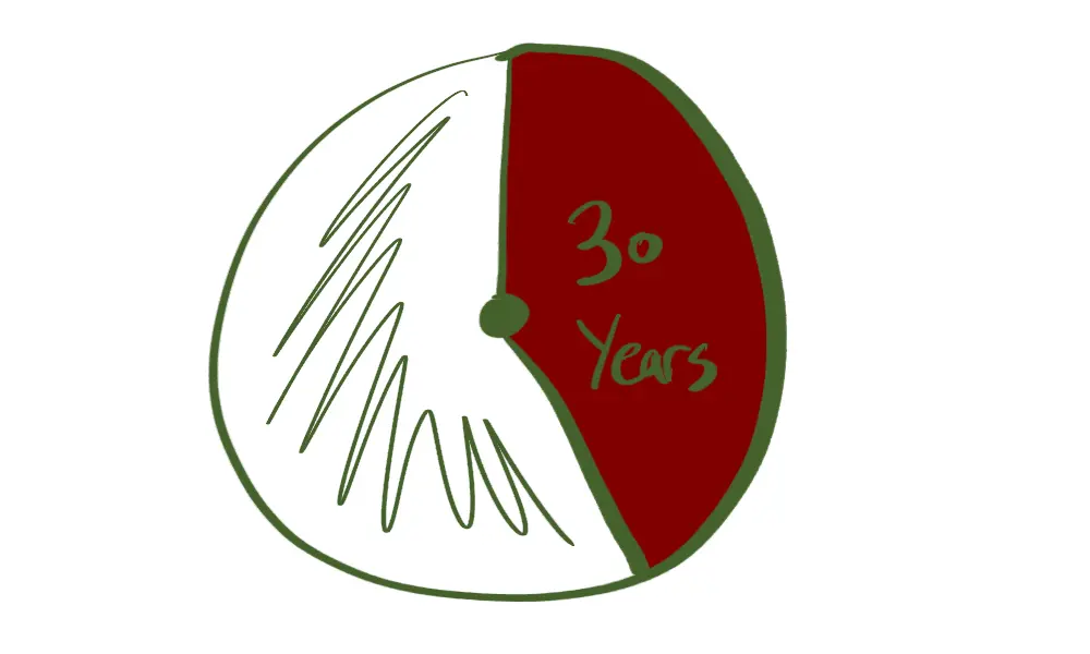 30_Thoughts_For_My_30_Year_Old_Self - Pie Graph showing 30 years gone of life